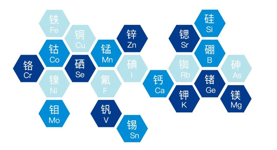 2022.9.16功能农业首次走进杨凌农高会(5).jpg 2022.9.16功能农业首次走进杨凌农高会(5).jpg