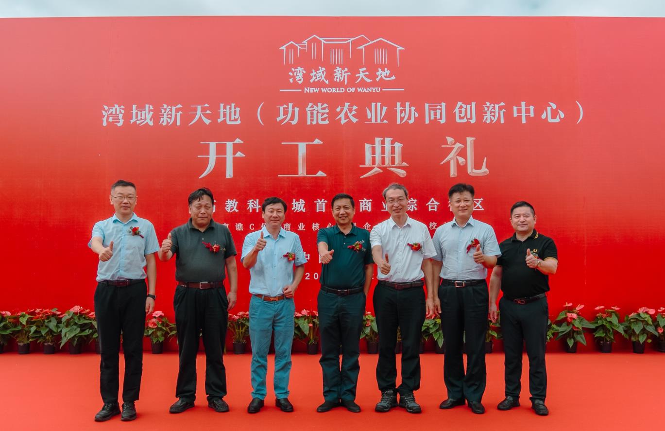 待删3 待删3